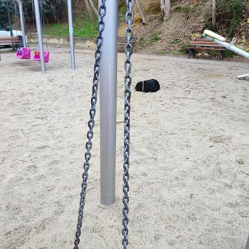 Osmangazi Belediyesi Ovaakça Mahallesi Köpek