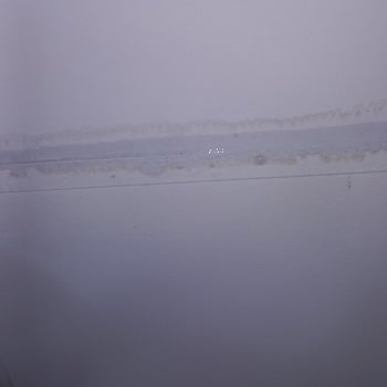 Elf Group Prefabrik Ev Çatı Problemi Ve Müşteri Hizmetleri Şikayeti