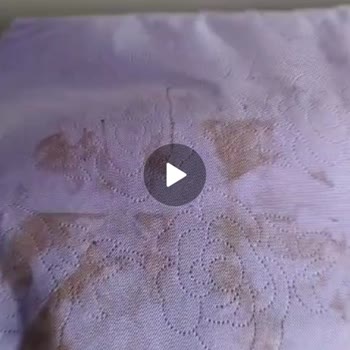 Egemen Nakliyat Evden Eve Nakliyat