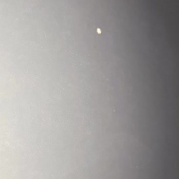 Bellona Yetkili Servisin Saygısızlığı