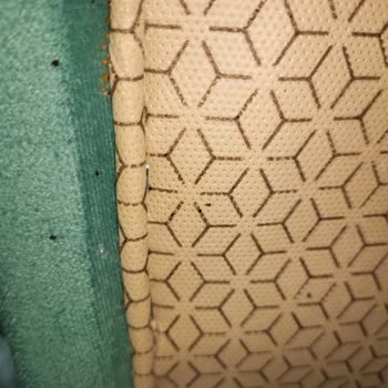 Bellona Yatak Böceği Problemi