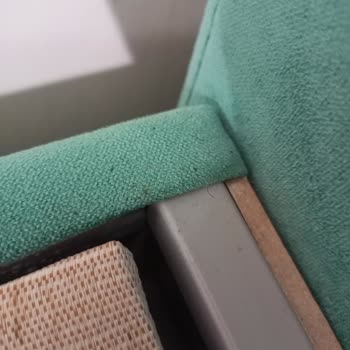 Bellona Yatak Böceği Problemi