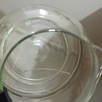 Sunny Çağrı Merkezi, Destek, Vs Yok