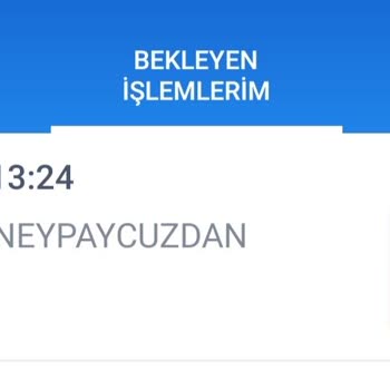 Param MoneyPay Cüzdan/bilgim Dışında Kartımdan Çekiler Tutar