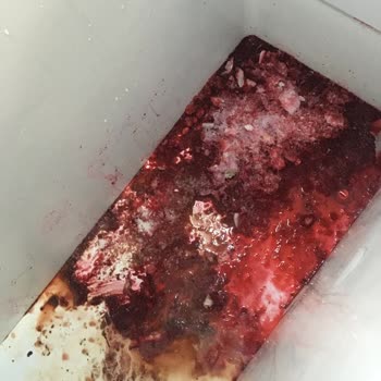 Uğur Soğutma Derin Dondurucu Hüsranı: Servis Ve Ürün Hayal Kırıklığı