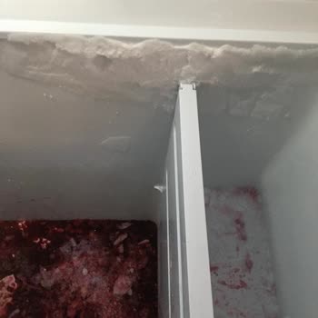 Uğur Soğutma Derin Dondurucu Hüsranı: Servis Ve Ürün Hayal Kırıklığı