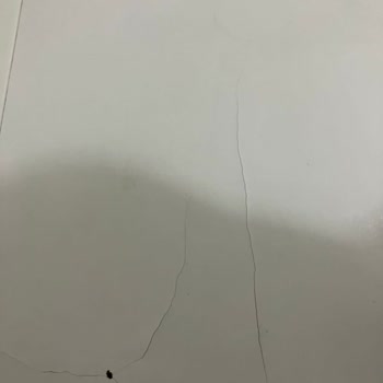 Regal Servis Tecrübesiz Mi? Yoksa Ne Yaptığını Bilmiyor Mu?