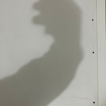 Regal Servis Tecrübesiz Mi? Yoksa Ne Yaptığını Bilmiyor Mu?