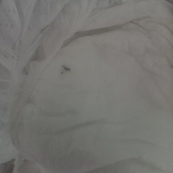 Sleepy Böcekli Bebek Bezi