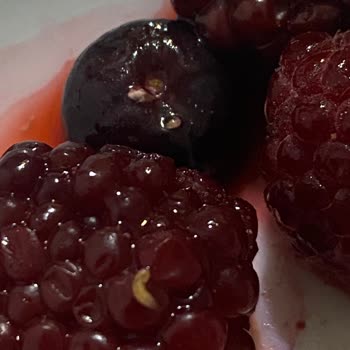 Superfresh Orman Meyveleri Kurt Sorunu