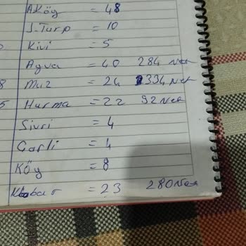 Anadolu Hayat Emeklilik İptal Ve Güncelleme İstemiyorum