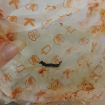 Kızılkayalar Hamburger Islak Hamburgerde İp Çıktı