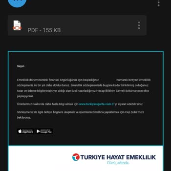 Türkiye Hayat Emeklilik BES İptali İçin Hesabıma Erişim Sağlayamıyorum.