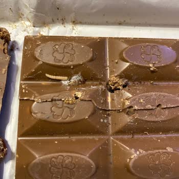 Carrefour SA'dan Aldığım Çikolatanın İçi Kurt Kaynıyor..