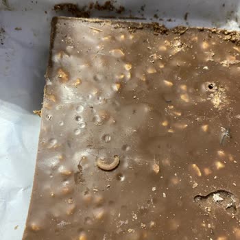 Carrefour SA'dan Aldığım Çikolatanın İçi Kurt Kaynıyor..