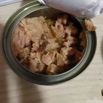 Dardanel Kalitesiz Ton Balığı Hayal Kırıklığı