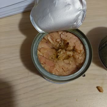 Dardanel Kalitesiz Ton Balığı Hayal Kırıklığı