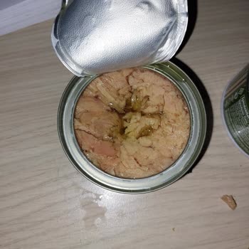 Dardanel Kalitesiz Ton Balığı Hayal Kırıklığı