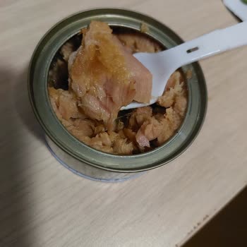 Dardanel Kalitesiz Ton Balığı Hayal Kırıklığı