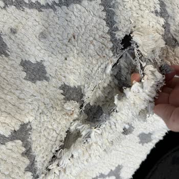 Nova Halı Yıkama, Halıyı Kocaman Bir Yırtıkla Teslim Etti.