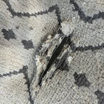 Nova Halı Yıkama, Halıyı Kocaman Bir Yırtıkla Teslim Etti.