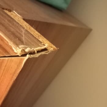 Yeniçağ Nakliyat (Ankara) Firması Mağdur Ediyor. Dikkat