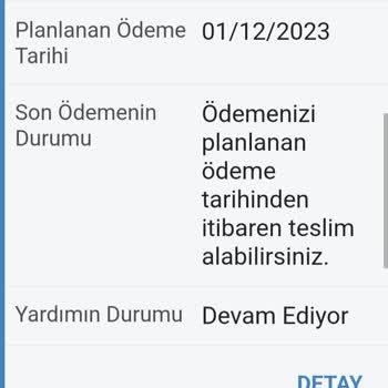 E-Devlet (Turkiye.gov.tr) Elektrik Desteği Şikayeti