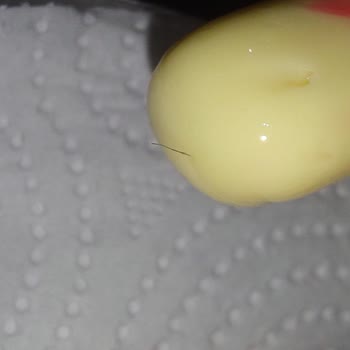 Bobbo Candy Şekerden Çıkan Kıl