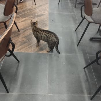 Köfteci Yusuf Kalite Eğimi Şart