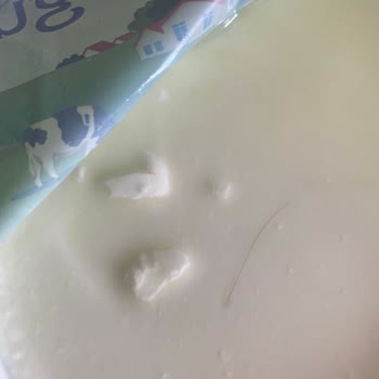 Sütaş Yoğurttan Kıl Çıktı!