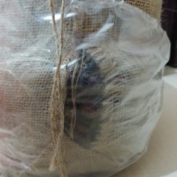 Kaktussukulent.com Sorumsuz Satıcı, Bozuk Ürün