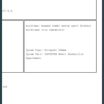 Baymak Kombi Bakım Blokesi Saçmalığı