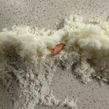 Hipp 1 Organik Keçi Sütü Bazlı Bebek Sütü Yabancı Madde Çıktı