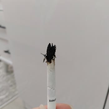 Philip Morris Kalitesiz Ürün Hayal Kırıklığı Yarattı