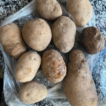 Şok Market Eksik Sipariş Ödemesini Gerçekleştirmiyor.