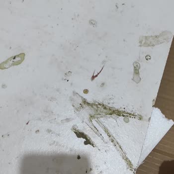 Vivense'nin Gönderdiği Ayakkabılıkta Kuşların Pislediği Parça Olması