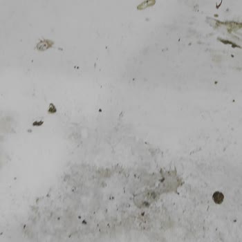 Vivense'nin Gönderdiği Ayakkabılıkta Kuşların Pislediği Parça Olması