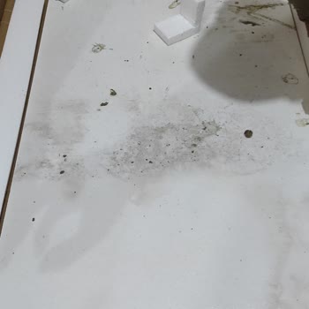 Vivense'nin Gönderdiği Ayakkabılıkta Kuşların Pislediği Parça Olması