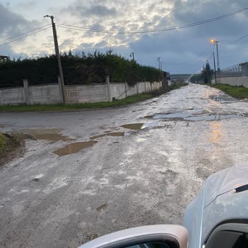 Silivri Belediyesi Selimpaşa 256. Cadde Asfalt Talebi