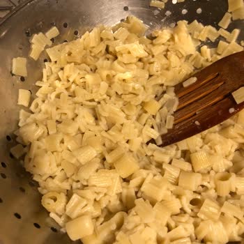 Piyale Yiyecek Bozulması Be Böceklenmesi