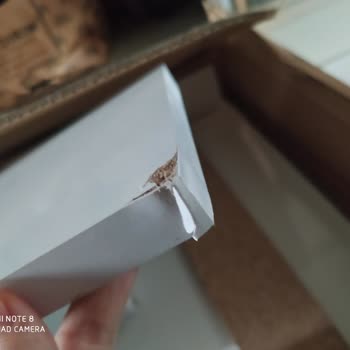 PTT Kargo Kargom Kayıptı Bulup Getirdiklerinde İse Her Tarafı Kırık Geldi