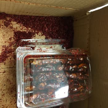 Maraş Gurme Paketleme Ve Kalite Sorunu! Biraz Daha Dikkatli Olalım