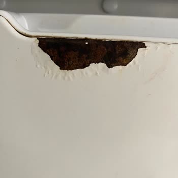 Siemens Ev Aletleri Sorumsuzluk Bir Markanın Değerinin Düşmesi