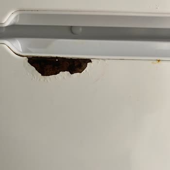 Siemens Ev Aletleri Sorumsuzluk Bir Markanın Değerinin Düşmesi