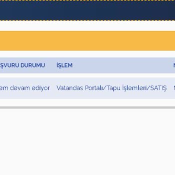 Webtapu E-Tahsilat No Eksik.