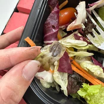 Çamurlu Çürük Tavuk Dünyası Yemekleri