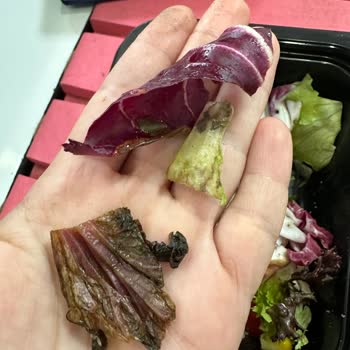 Çamurlu Çürük Tavuk Dünyası Yemekleri