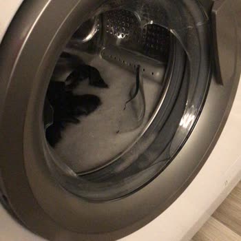 Altus Çamaşır Makinesi Cam Patlaması