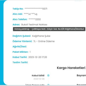 Kargoist Teslim Etmeyip Ne Yapıyorsunuz?