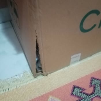 Chakra Ürünler Kırık Ve Defolu